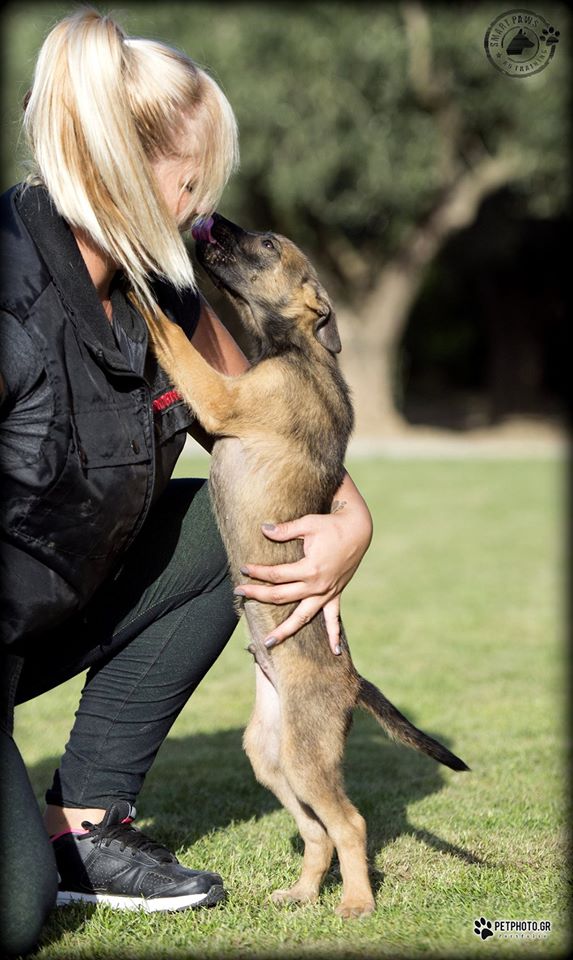 14884510 1129964093747728 2067742288940391583 o